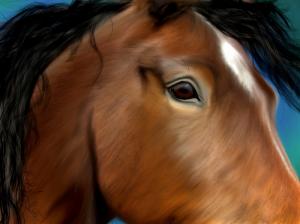 New Weekly Promotional Painting, Horse Portrait Close Up